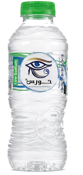 300ml Water Bottle